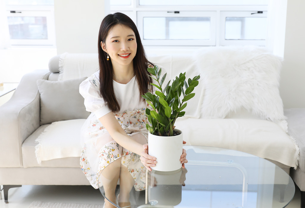 금전수의 꽃말은 '번영, 금전, 부유' 입니다. 금전수와 함께 하시는 모든 분들께서 몸과 마음 모두 번영하시길 바랍니다. - [내 책상 위의 작은 정원] - 금전수 꽃배달