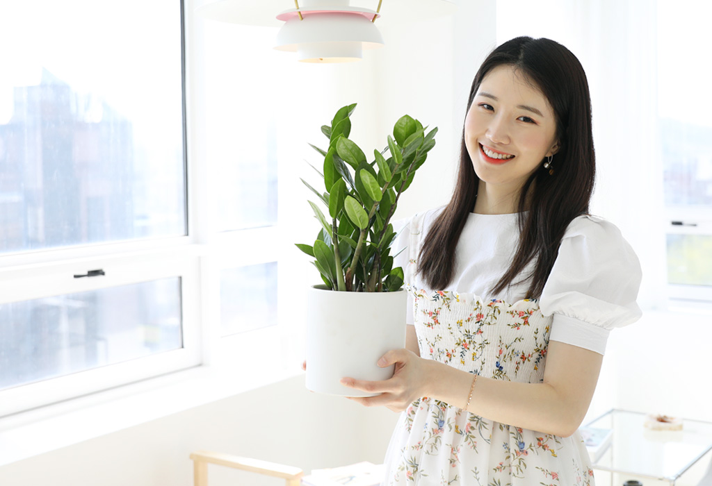[내 책상 위의 작은 정원] - 금전수 꽃배달 상세 이미지 8