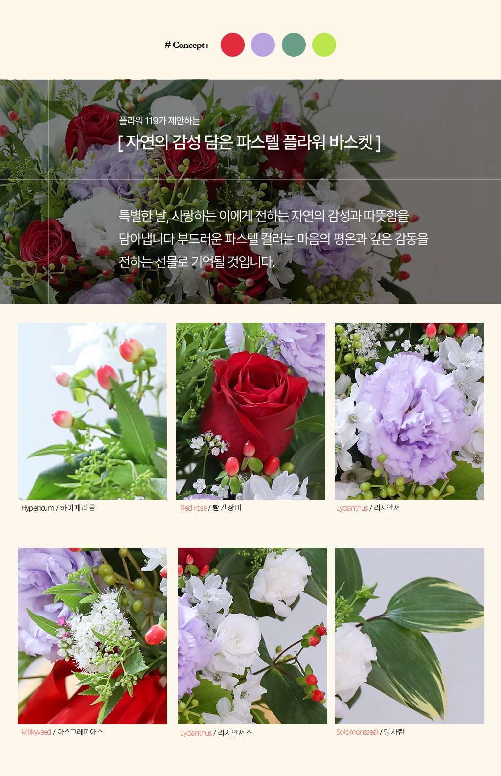 Sunny Smiles 밝은 미소