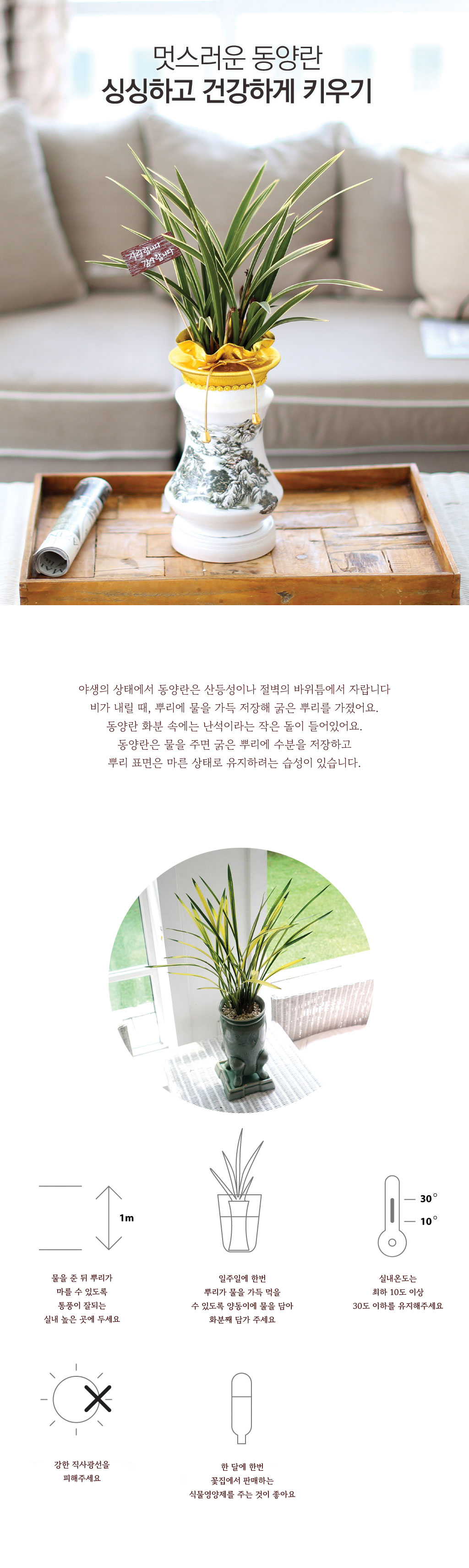 승진 영전을 축하합니다 - 철골소심