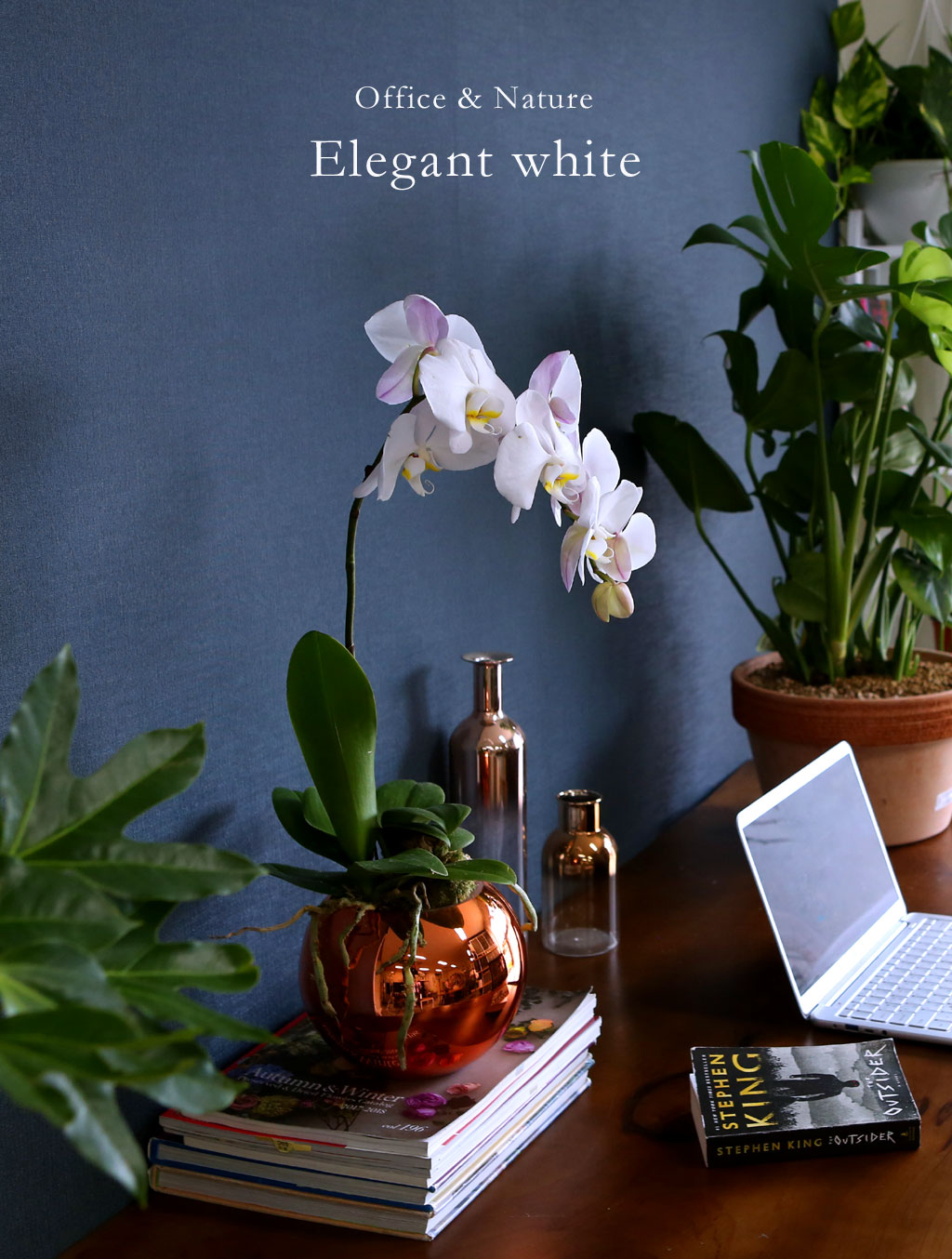 Office & Nature - Elegant white (소)