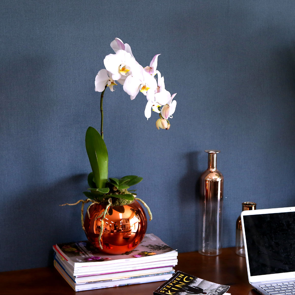 Office & Nature - Elegant white (소)