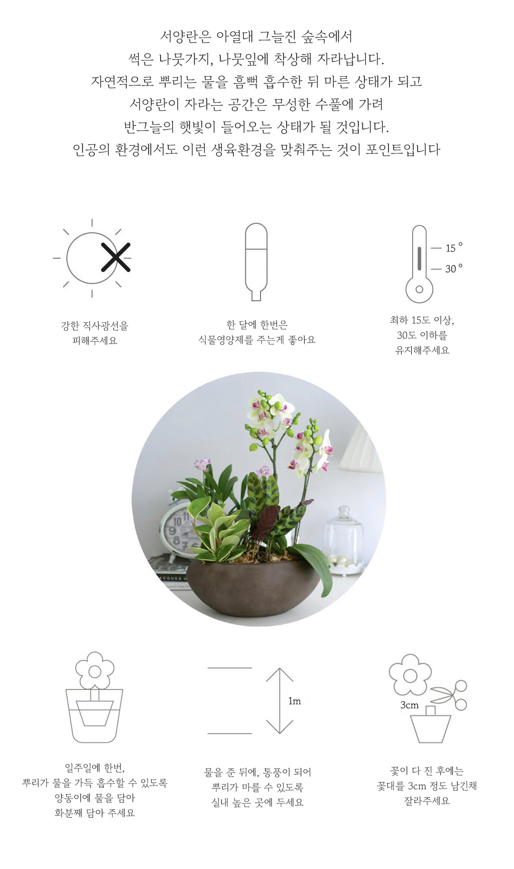 단아한 색을 품은 만천홍 (소)
