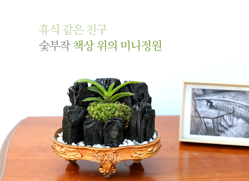 <div class="dd-small-t">휴식 같은 친구</div>
<div class="dd-large-t">숯부작 책상 위의 미니정원</div>
<div class="dd-c">
몸에 좋은 효능을 많이 가지고 있는 숯에
우아한 풍란을 붙여 만든
숯부작 미니정원이예요</div>