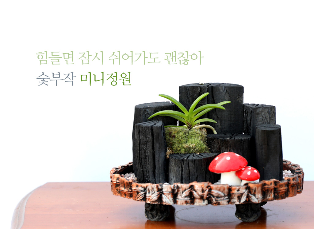 <div class="dd-small-t">힘들면 잠시 쉬어가도 괜찮아</div>
<div class="dd-large-t">심플한 숯부작 미니정원</div>
<div class="dd-c">
몸에 좋은 효능을 많이 가지고 있는 숯에
우아한 풍란을 붙여 만든
심플한 숯부작 미니정원이예요</div>
