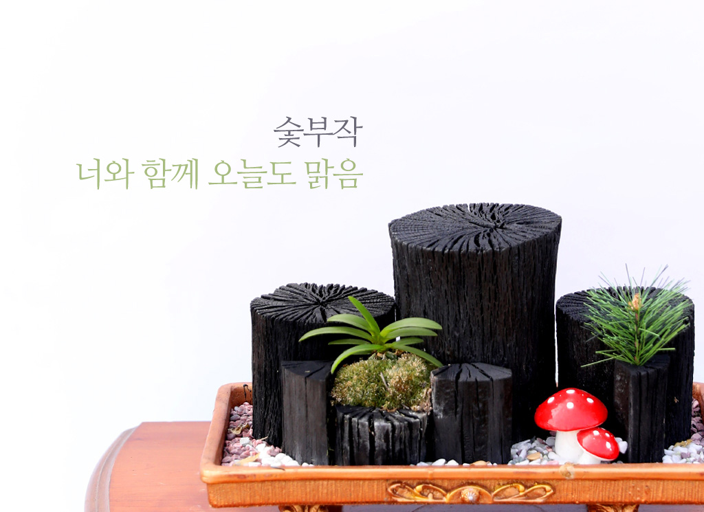 <div class="dd-large-t">숯부작 너와 함께 오늘도 맑음</div>
<div class="dd-c">
몸에 좋은 효능을 많이 가지고 있는 숯에
우아한 자태의 풍란을 붙여 만든
심플한 숯부작 미니정원이예요</div>