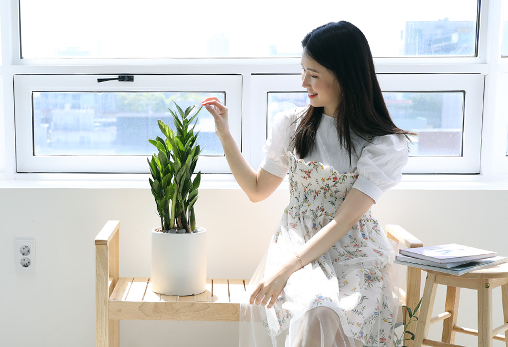 그러나, 풍수적인 이유보다는 수면에 방해가 될 수 있고, 잘 크지 않는 위치이기 때문에 침실과 어두운 구석에는 놓지 않는 것이 좋습니다.