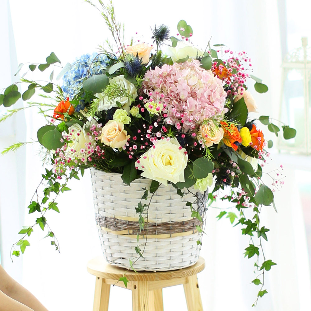 Spring&Sweet - pop spring flower