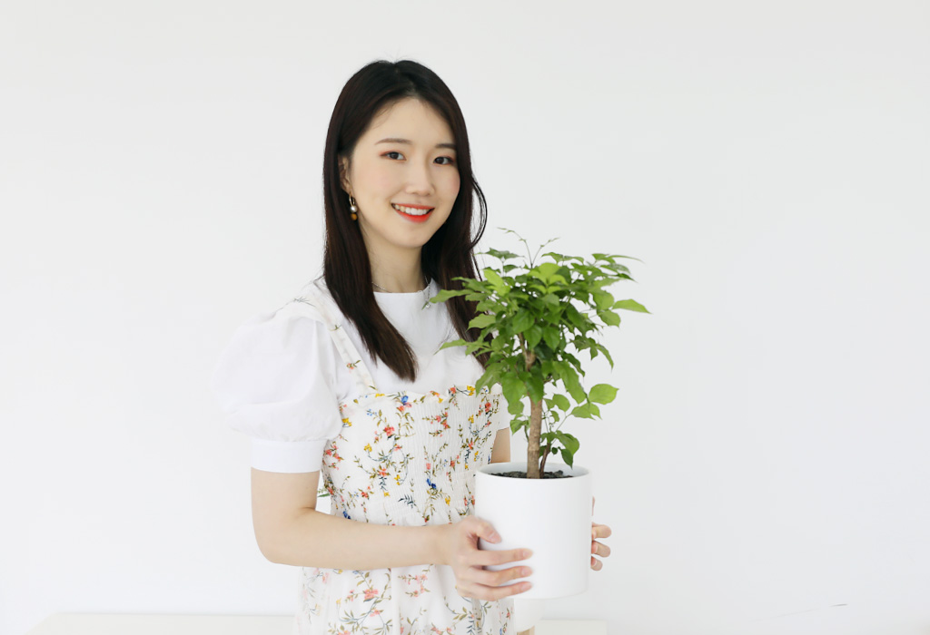 푸르고 풍성한 잎들이 공기정화를 위해 열심히 힘쓰고 있어요 !
