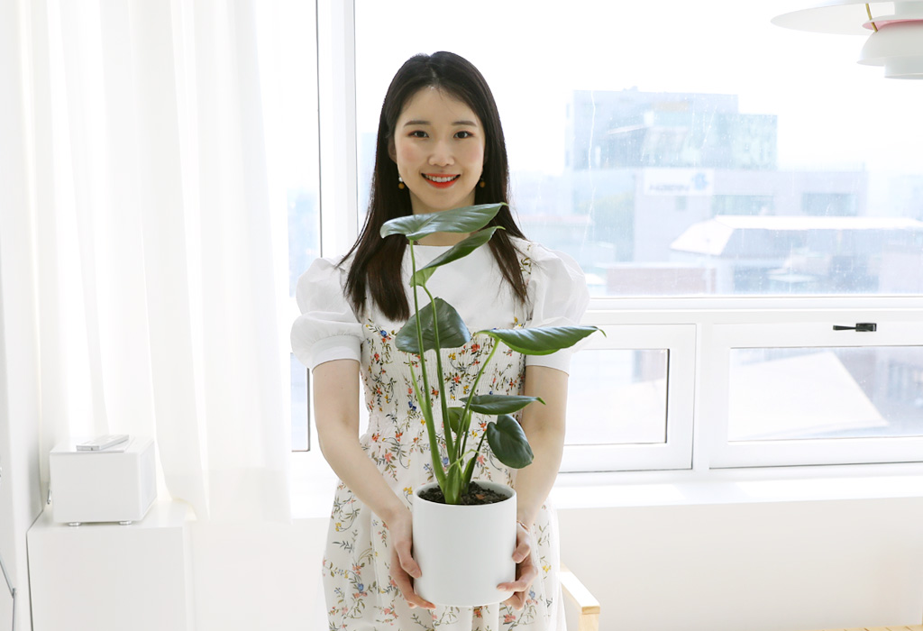<div class="dd-large-t">몬스테라</div>
잎이 크고 시원하여 플랜테리어식물로 각광받고 있습니다.