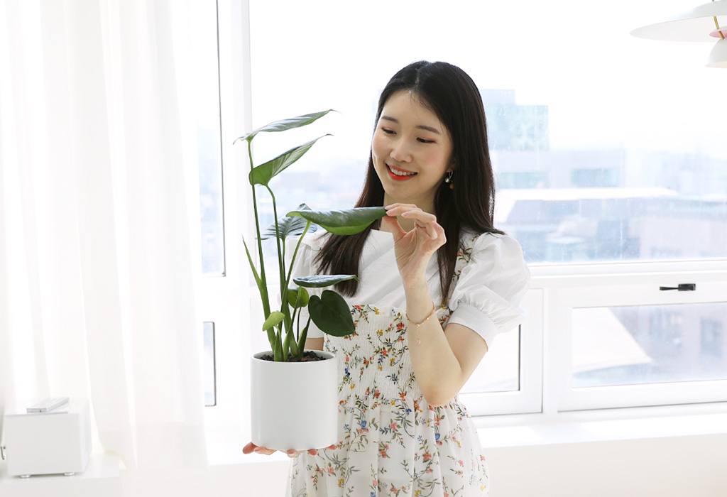 가정, 사무실 등 실내에서 쉽게 키울 수 있으며,
금방 새순이 자라나는 모습을 보실 수 있습니다.