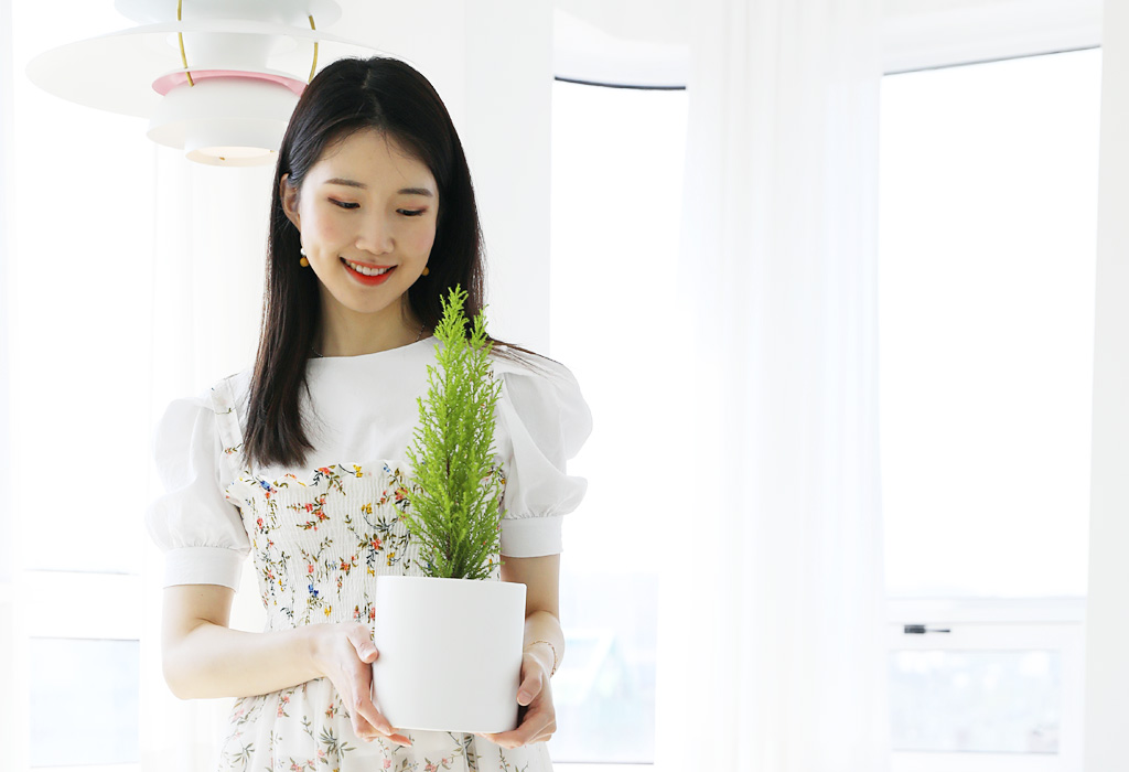 손으로 가볍게 만지면 레몬향이 나는 율마입니다.
플랜테리어, 공기정화 식물로 인기가 많습니다.
