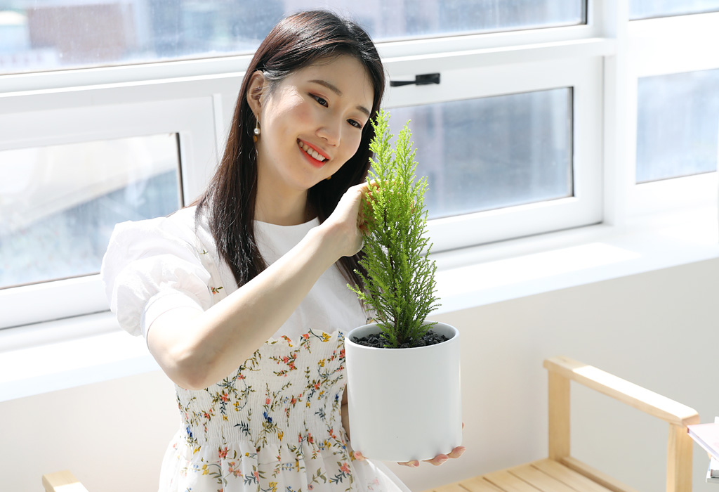 율마는 피톤치드를 만들어 내는 식물이기 때문에
향기가 좋으며, 공기정화도 하는 멋지고 매력적인 식물이에요.
작고 귀여운 율마를 책상위에 두고 함께 해보세요 :)