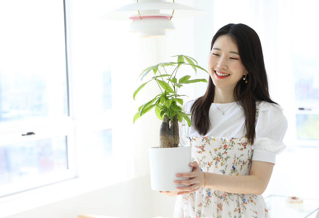 두꺼운 줄기가 독특하여,
작은 나무 한그루가 공간에 있는 듯한 느낌을 받으실 수 있어요.