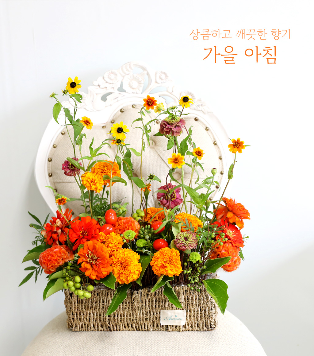 상큼하고 깨끗한 향기 - 가을 아침