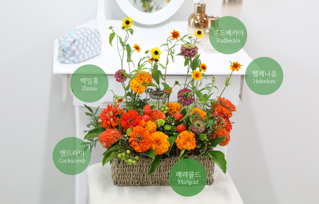 <div style="font-size:15px; color:#5A5A5A; text-align:center; font-style:oblique;">"꽃말 소개"</div>
<div style="font-size:13px; color:#5A5A5A; text-align:center; font-style:oblique;"><br>메리골드 : 반드시 오고야 말 행복<br>맨드라미 : 시들지 않는 사랑<br>백일홍 : 멀리 있는 친구를 생각함</br></div>