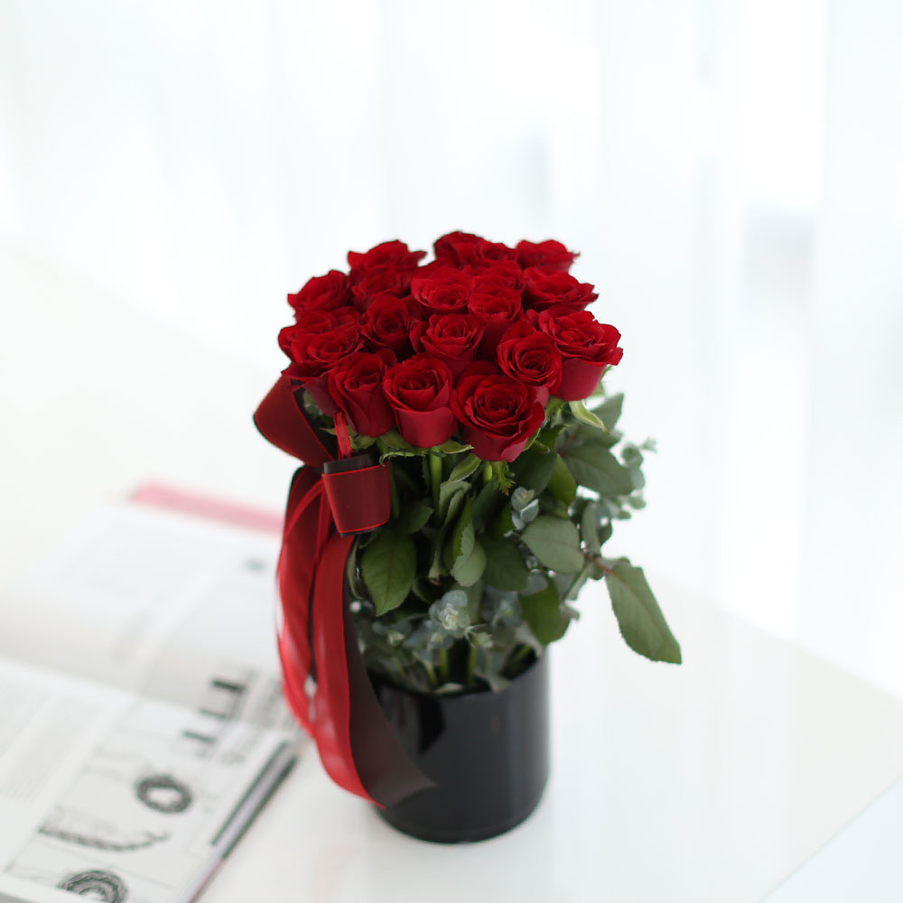로즈데이 - vivid rose day