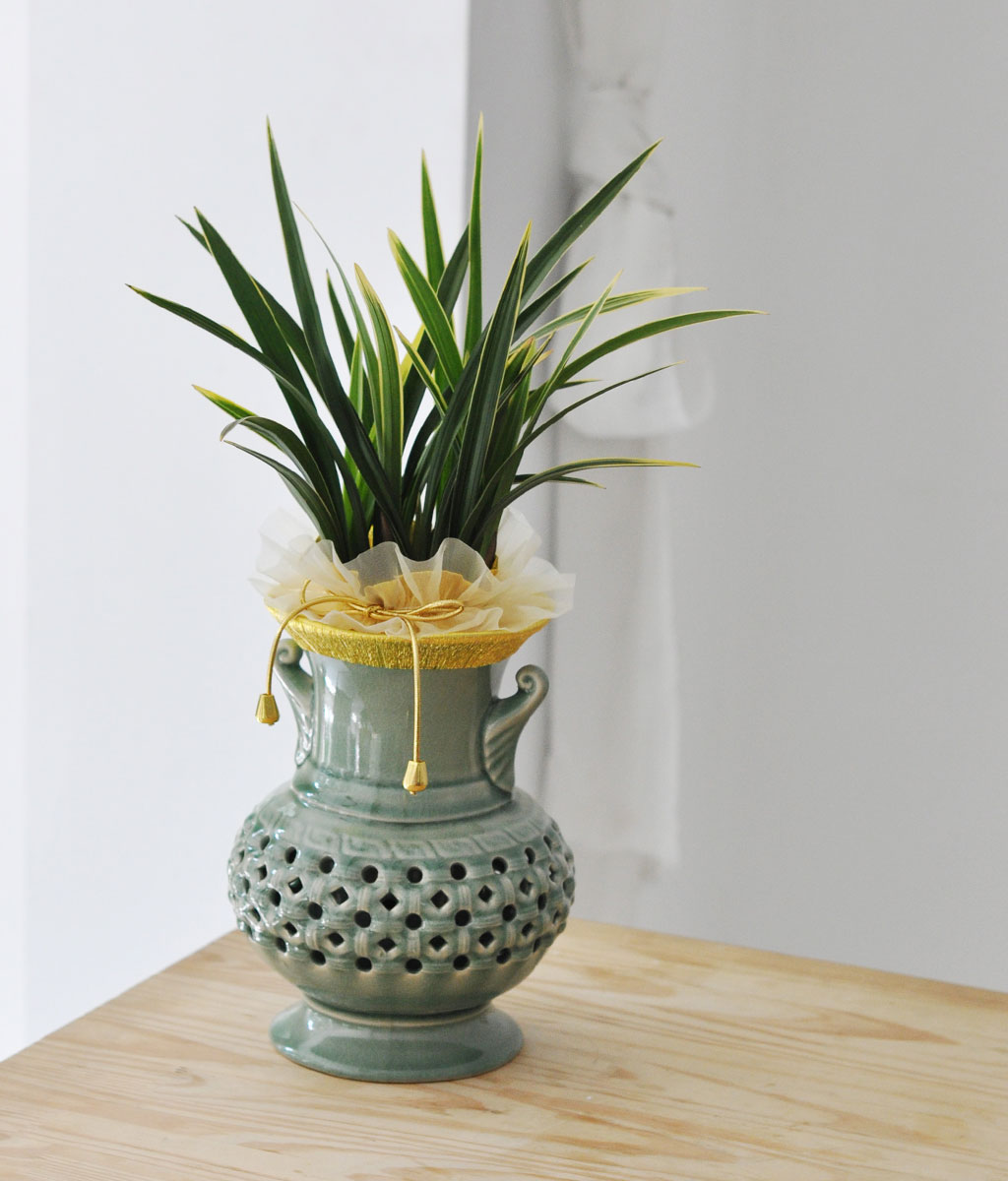 옛선비들은 매란국죽의 사군자 라고 하는 식물을 가까이 하며
선비의 정신과 기개를 닦았습니다.
승진이나, 영전 때처럼 높은 자리에 오르신 분들께
사군자 중의 하나인 동양란을 선물하는 것은 높은 자리에 오르신 것을
축하하는 의미도 있지만 높은 자리에 오르 신 만큼의
기개와 아량을 갖추시길 기원하는 마음에서 일 것입니다.
승진, 영전하신 분들께 동양란을 선물하셔서
더욱 좋은 의미의 축하선물이 되시길 기원합니다.