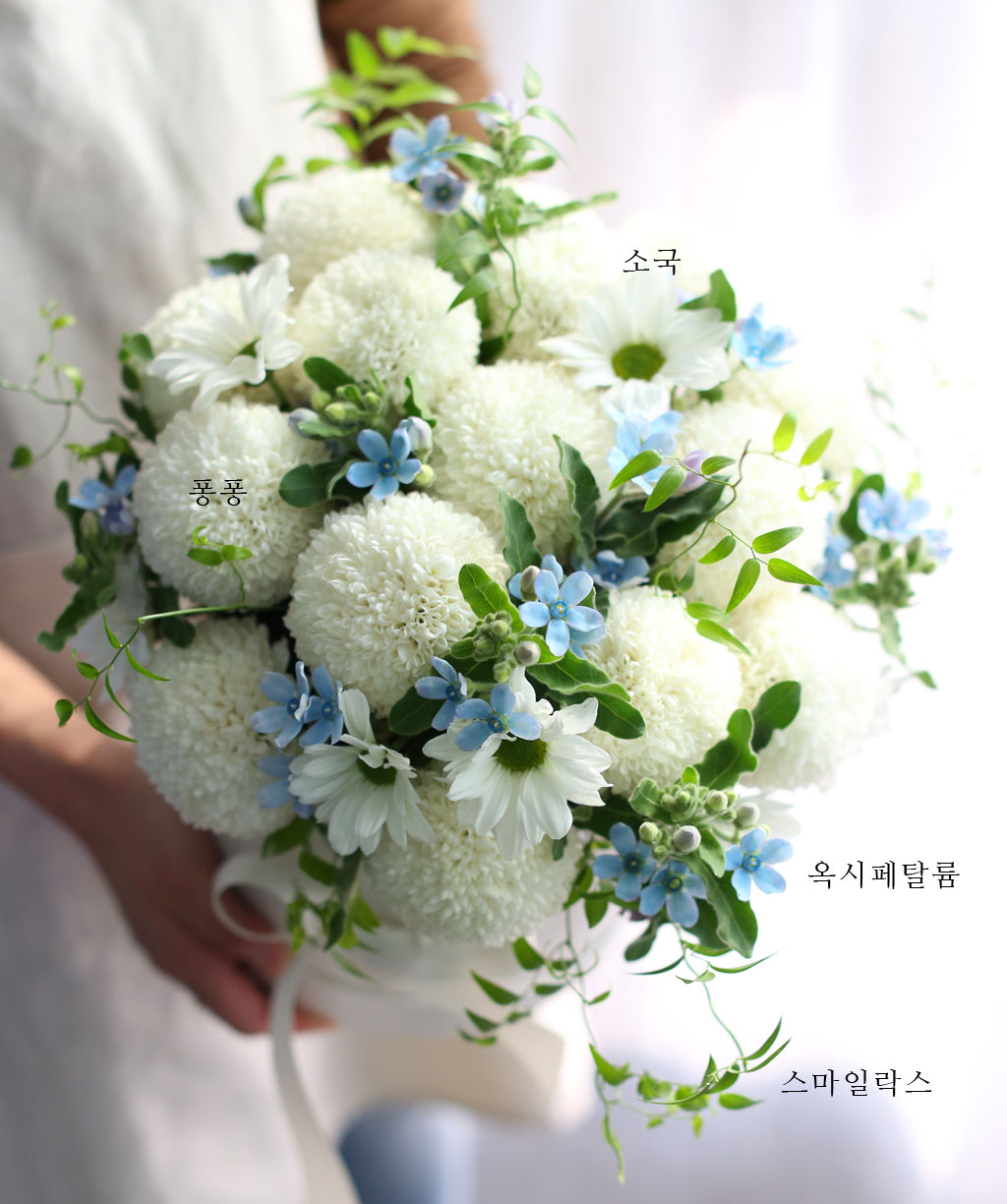 작은 꽃잎으로 동글동글 피어나는 퐁퐁국화는 오톨도톨한 질감과 더불어 하얀 여백을 가미할 수 있어 좋습니다.
블루옥시의 작은 입술같은 꽃잎은 가까이서보면 더 예뻐보입니다.