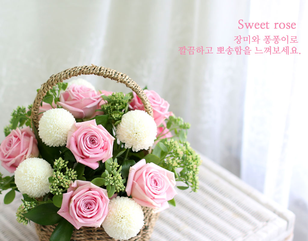 {전국배송}뽀송뽀송