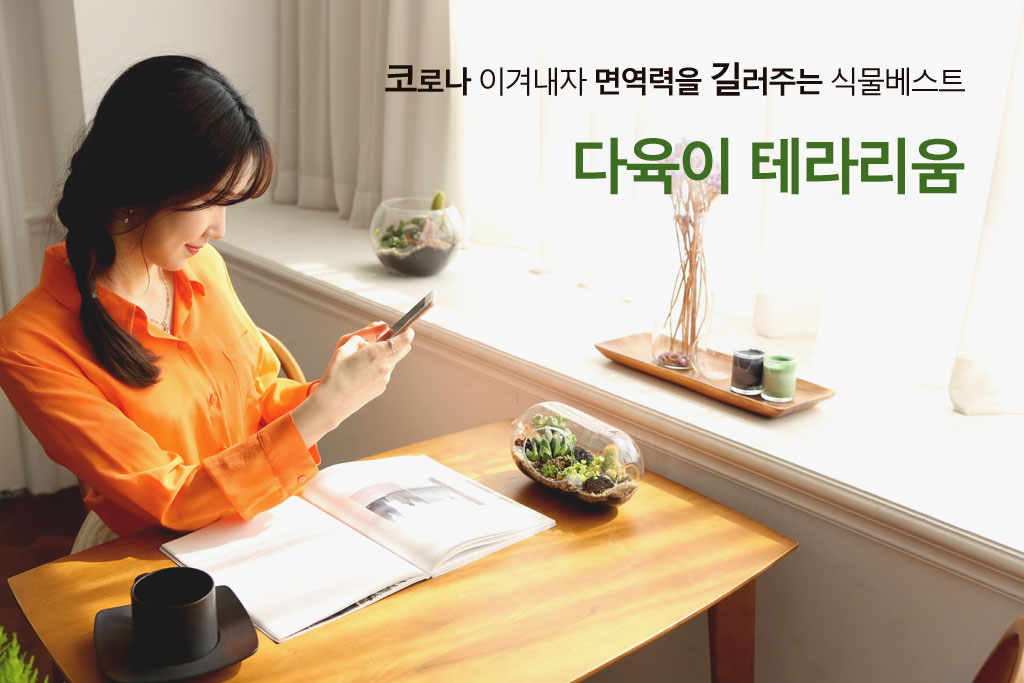 다육이 테라리움
귀여운 미니 식물 다육이들이 옹기종기 모여 테라리움을 형성했어요