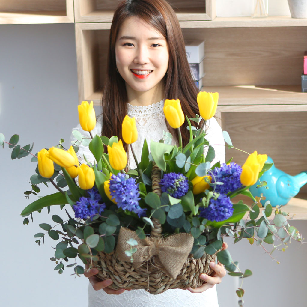 [서울,수도권배송] spring & sweet 튤립이랑 히야신스랑 꽃배달 상세 이미지 4