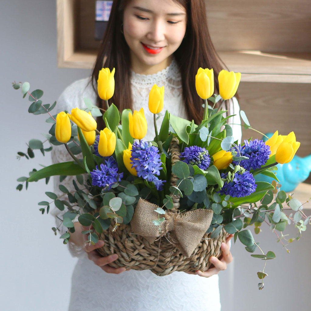 [서울,수도권배송] spring & sweet 튤립이랑 히야신스랑 꽃배달 상세 이미지 14