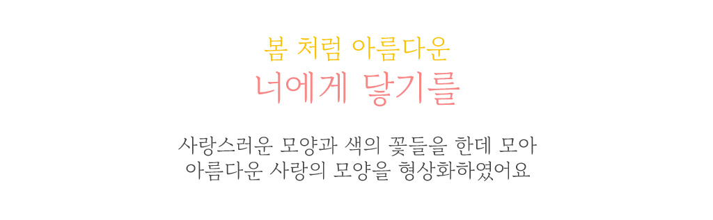 <div style="font-size:15px; color:#FFFFFF; text-align:center; font-style:oblique;">"봄처럼 아름다운, 너에게 닿기를"</div>