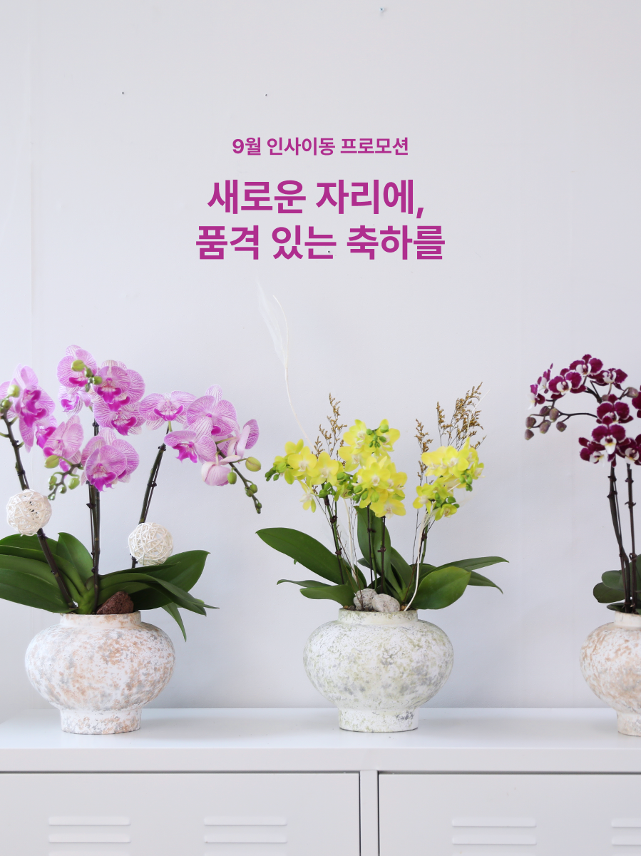 축하를 건네는 계절 꽃배달 이벤트