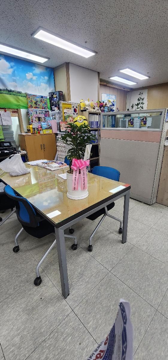 경기 군포시 복을 가져다 준대요 - 만량금 꽃배달 실제 배송 사진