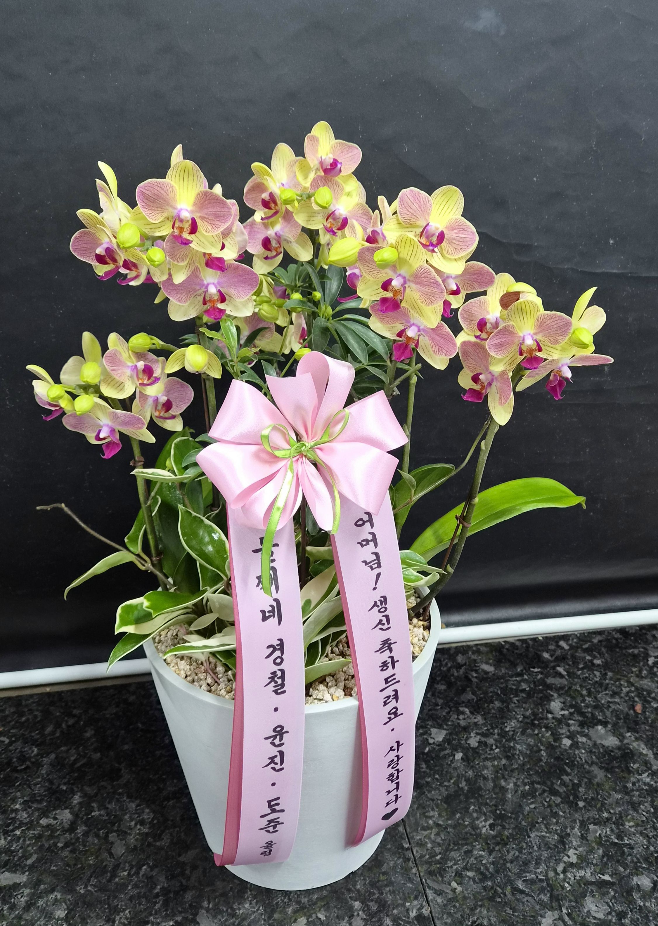 경기 파주시 고급호접 주황 미니호접 사라골드 꽃배달 실제 배송 사진