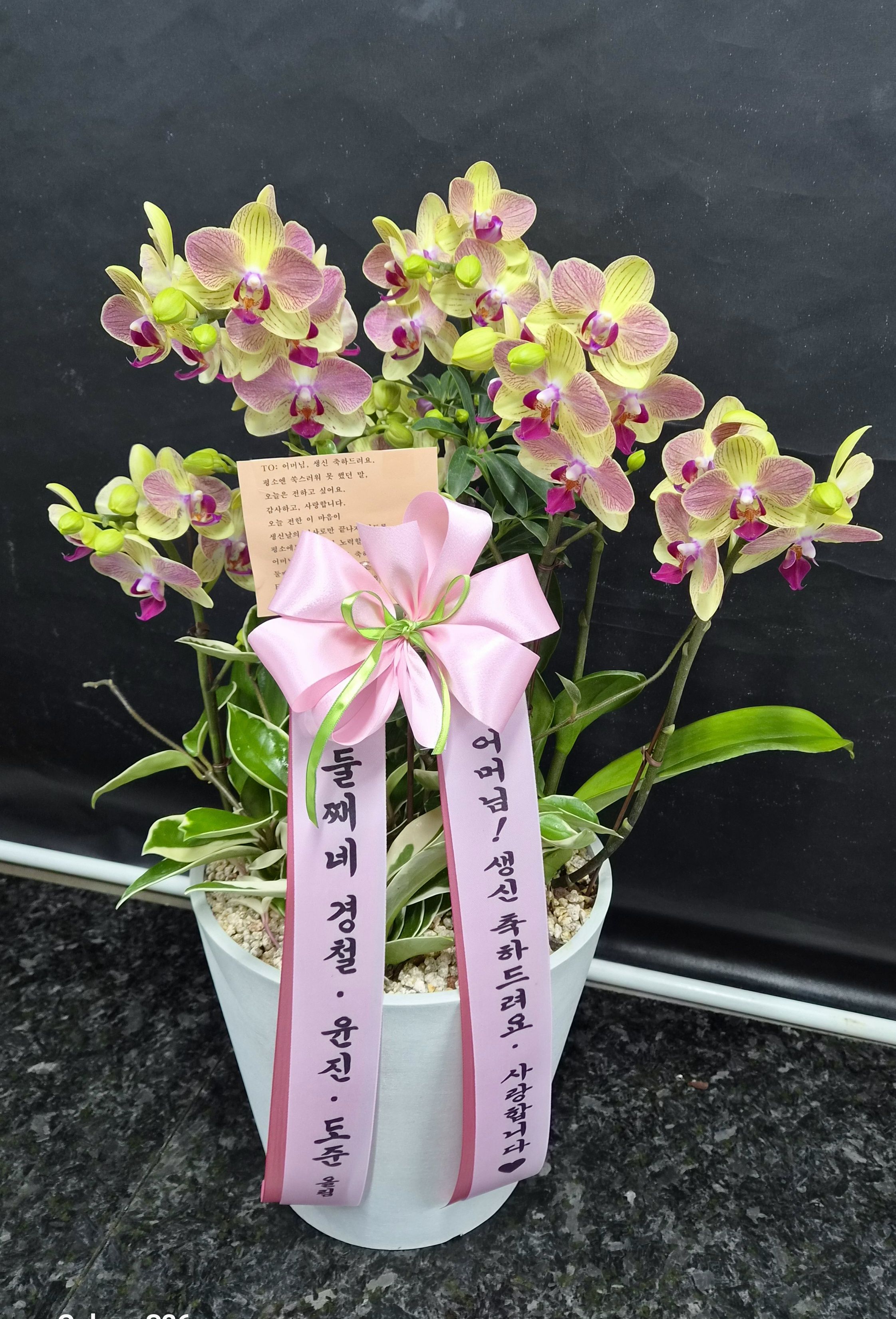 경기 파주시 고급호접 주황 미니호접 사라골드 꽃배달 실제 배송 사진