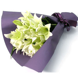 [전국배송]릴리(lily) 꽃배달