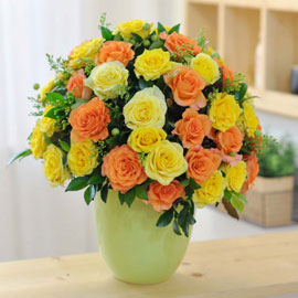 [서울배송]The Roses Bloom - Yellow babe(화기는 변경될 수 있음) 꽃배달