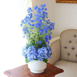 [서울배송] Beautiful colors - Silky Delphinium 꽃배달