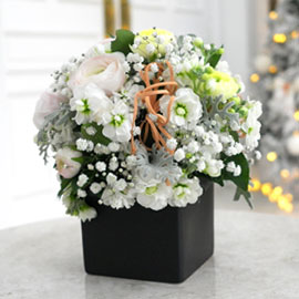 Winter Wonderland - Snow Flowers 꽃배달