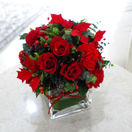 [서울배송] Winter Wonderland - Red Poinsettia 꽃배달