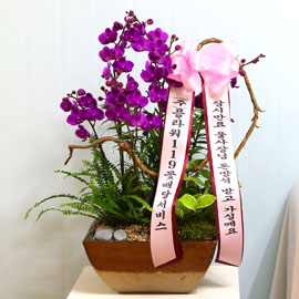 만천홍-잠시만요 울사장님 돈방석 받고 가실게요 꽃배달