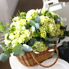Fresh spring flower Refresh green blooms 꽃배달