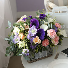 Fresh spring flower Violet shadow 꽃배달