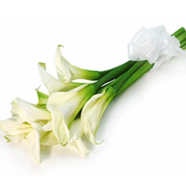 Cala Bouquet 꽃배달