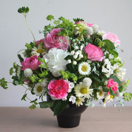 봄,꽃들의 축제 Filled with spring 꽃배달