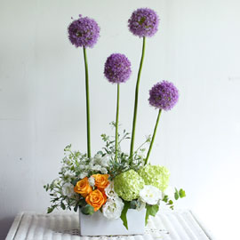 [서울/수도권배송]Yes it is Allium 꽃배달