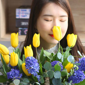 [서울,수도권배송] spring & sweet 튤립이랑 히야신스랑 꽃배달