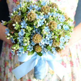 Yes it is Oxypetalum Bouquet 꽃배달