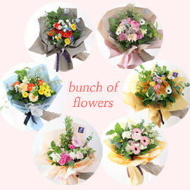 [전국배송]Bunch of flowers - 6 package 꽃배달