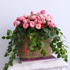 Romatic Rose 꽃배달