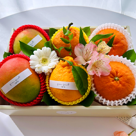Fruit Gift - original box N02 꽃배달