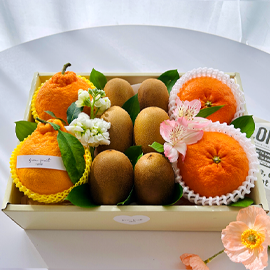 Fruit Gift - original box N03 꽃배달