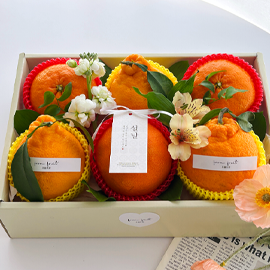 Fruit Gift - original box N13 꽃배달
